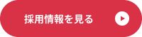 採用ボタン